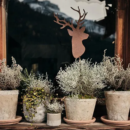 Mia Majon Alojamento de Turismo Selvagem